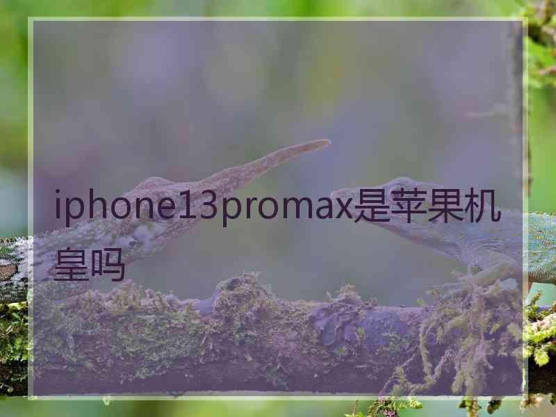 iphone13promax是苹果机皇吗