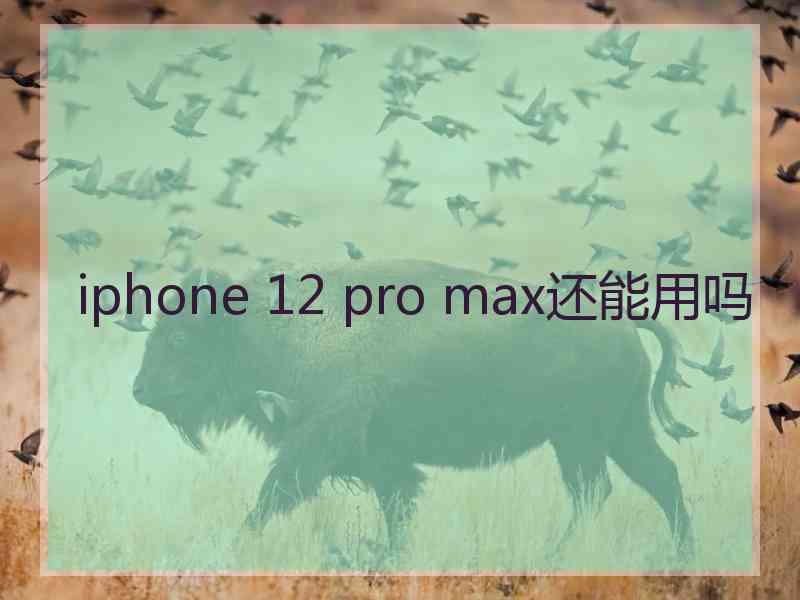 iphone 12 pro max还能用吗