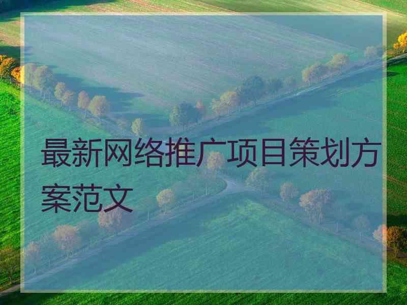 最新网络推广项目策划方案范文