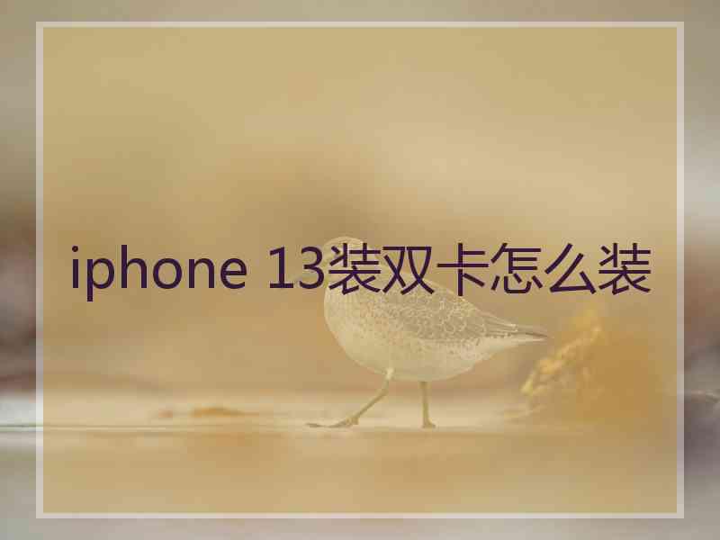 iphone 13装双卡怎么装