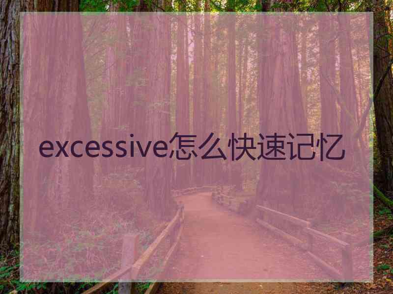 excessive怎么快速记忆