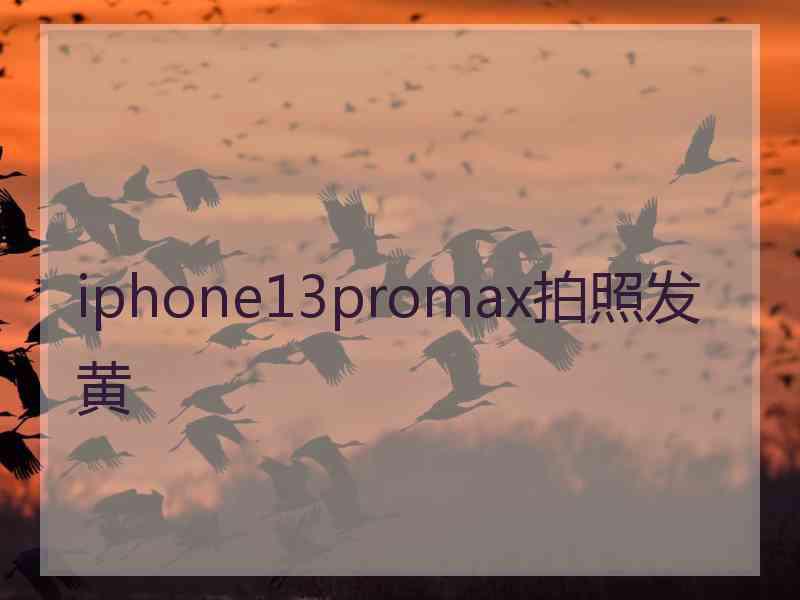 iphone13promax拍照发黄