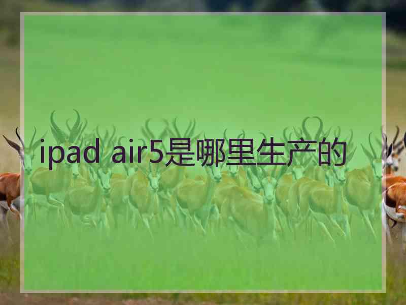 ipad air5是哪里生产的