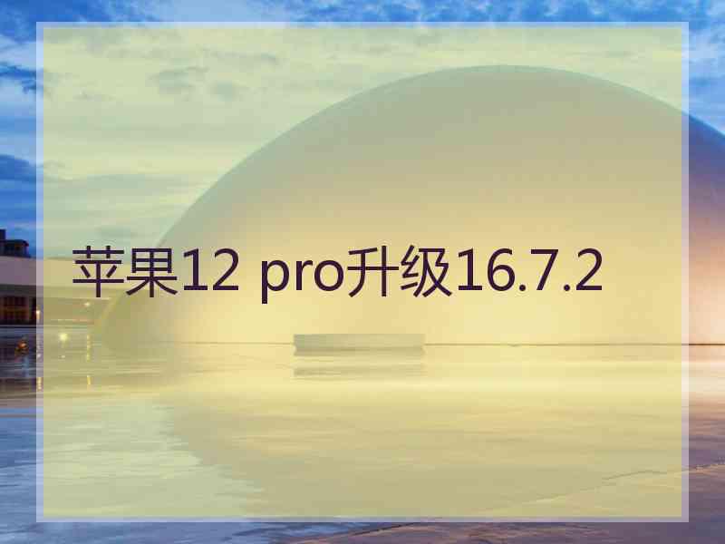 苹果12 pro升级16.7.2