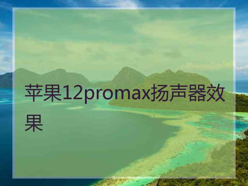 苹果12promax扬声器效果