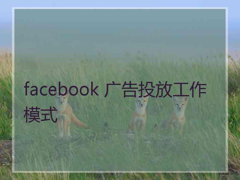 facebook 广告投放工作模式