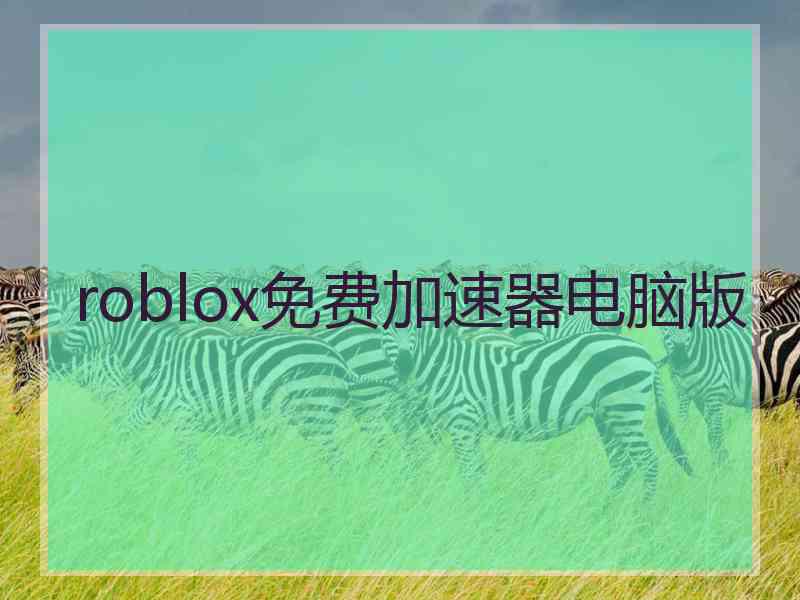 roblox免费加速器电脑版