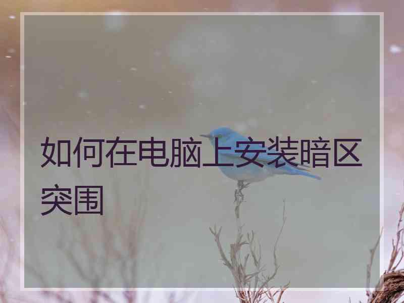 如何在电脑上安装暗区突围