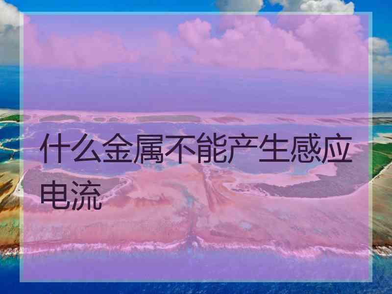 什么金属不能产生感应电流