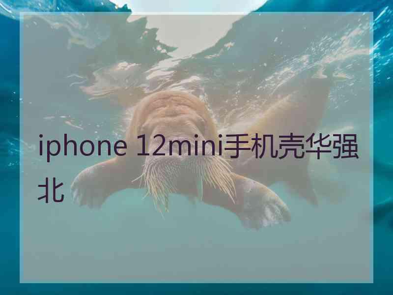 iphone 12mini手机壳华强北