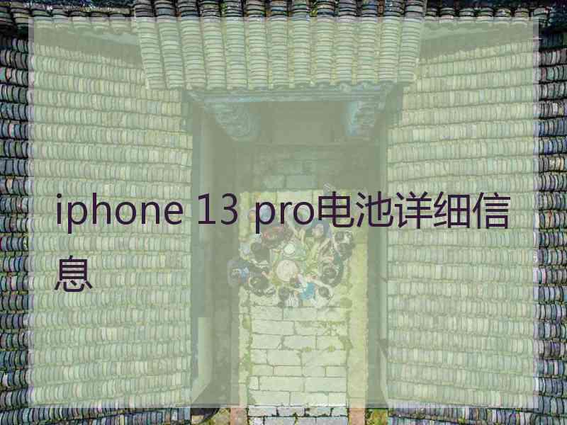 iphone 13 pro电池详细信息