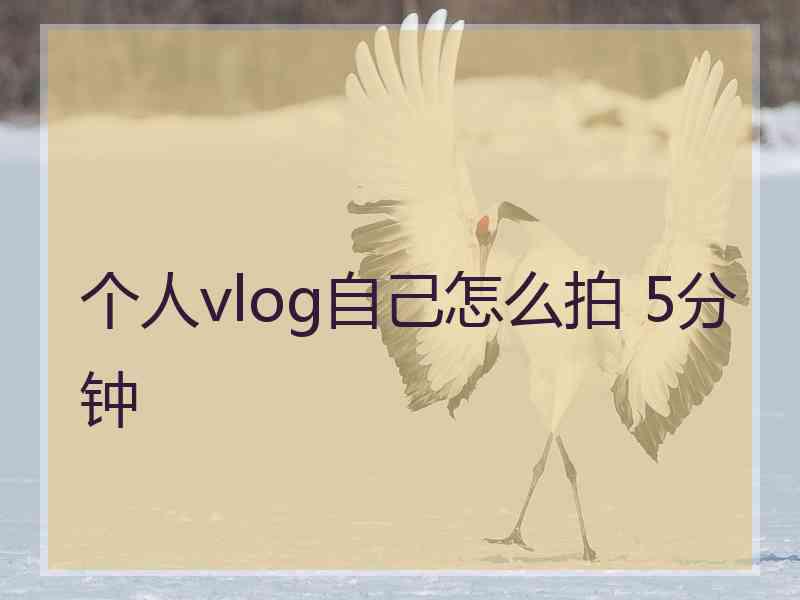 个人vlog自己怎么拍 5分钟