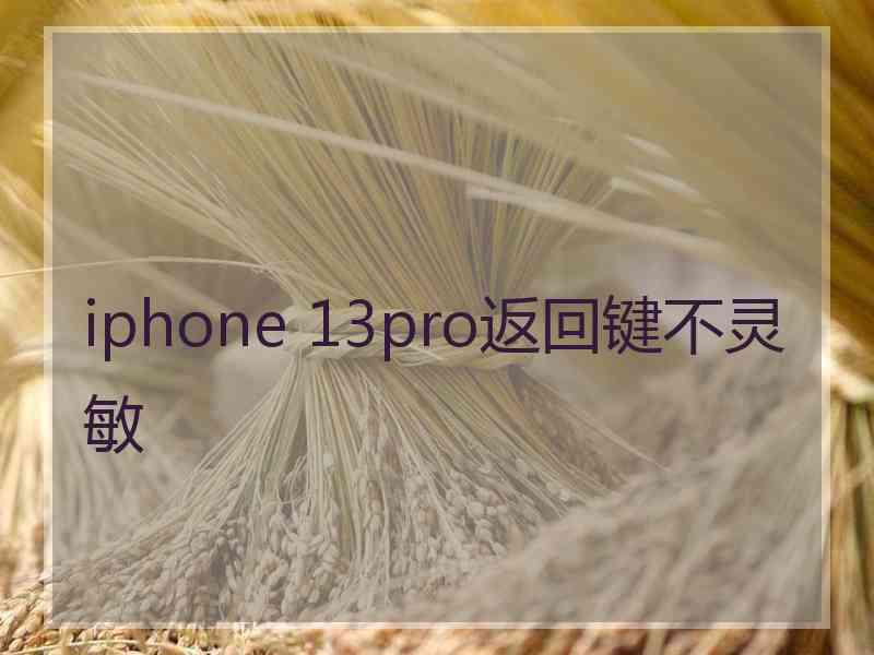 iphone 13pro返回键不灵敏