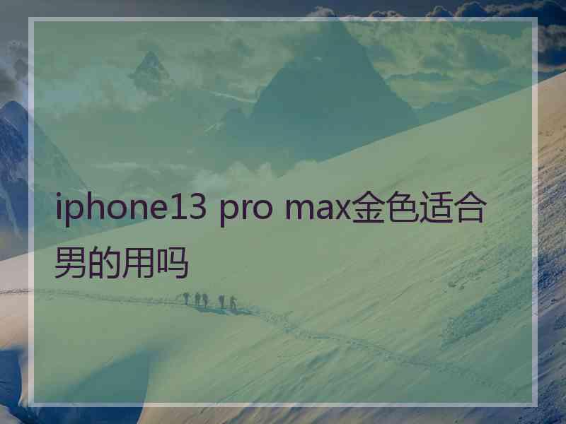 iphone13 pro max金色适合男的用吗