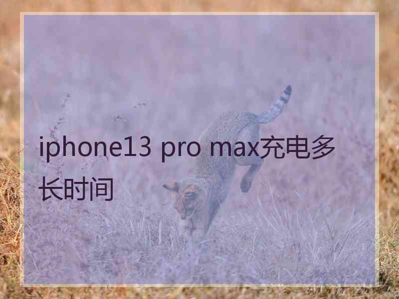 iphone13 pro max充电多长时间