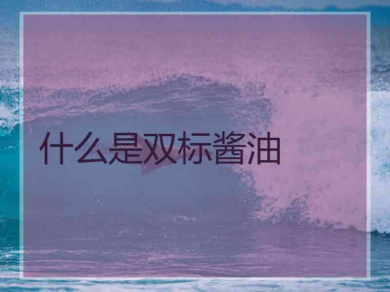 什么是双标酱油