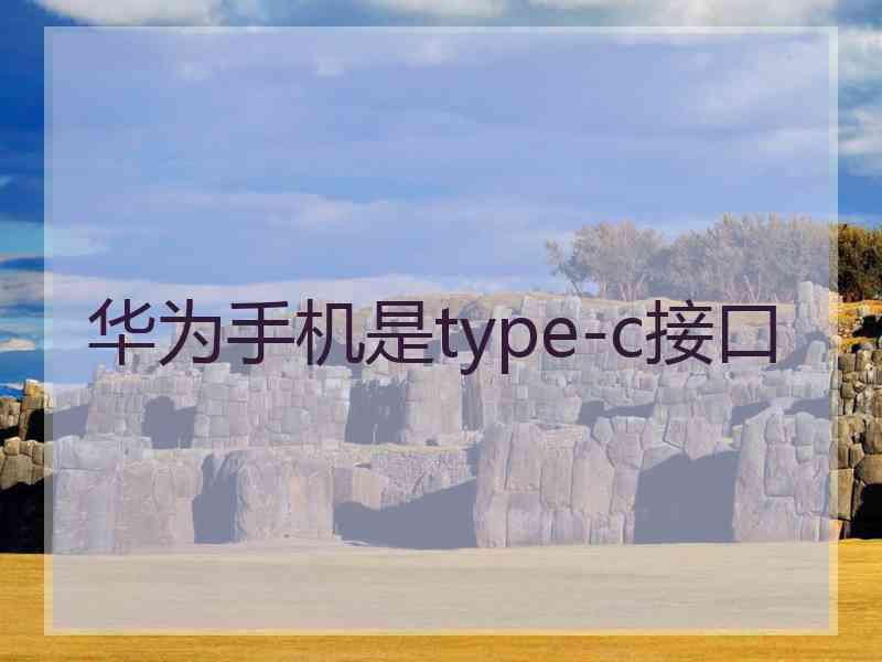 华为手机是type-c接口