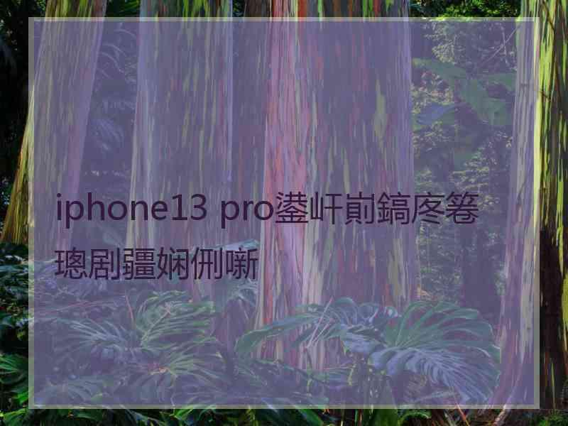 iphone13 pro鍙屽崱鎬庝箞璁剧疆娴侀噺