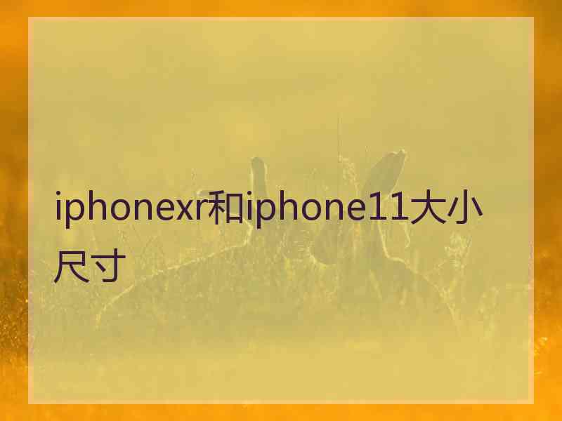 iphonexr和iphone11大小尺寸