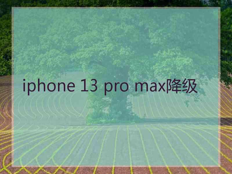 iphone 13 pro max降级