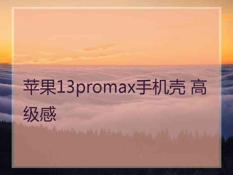 苹果13promax手机壳 高级感