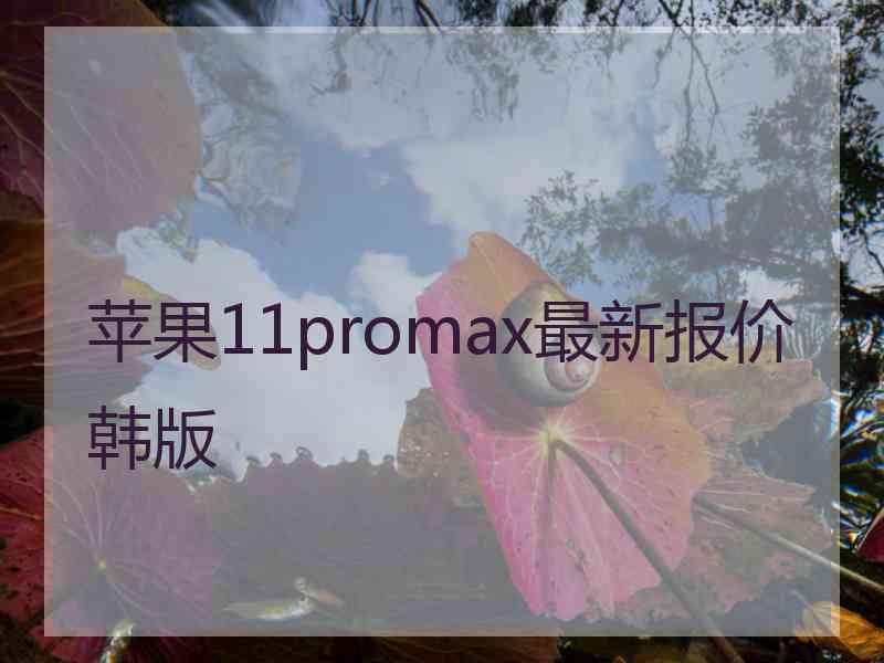 苹果11promax最新报价韩版