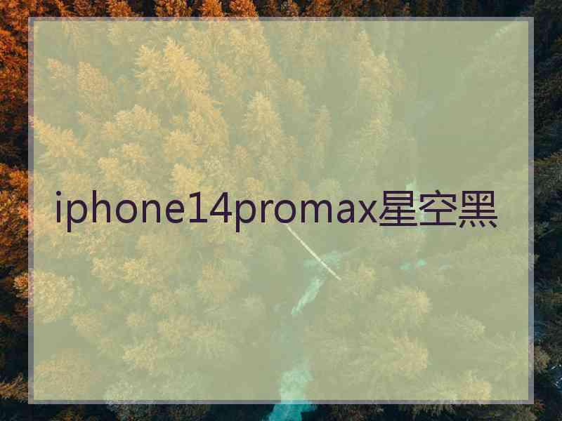 iphone14promax星空黑