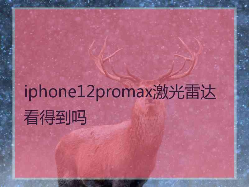 iphone12promax激光雷达看得到吗