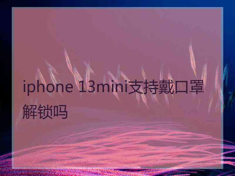 iphone 13mini支持戴口罩解锁吗