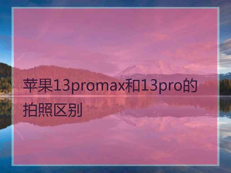 苹果13promax和13pro的拍照区别