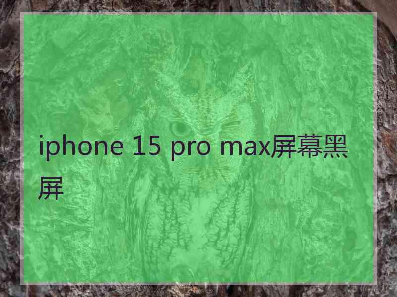 iphone 15 pro max屏幕黑屏