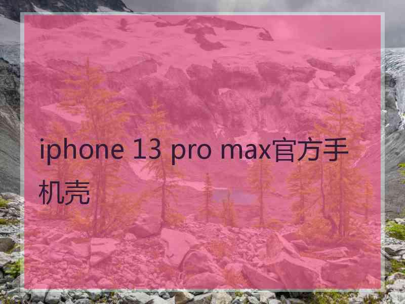 iphone 13 pro max官方手机壳