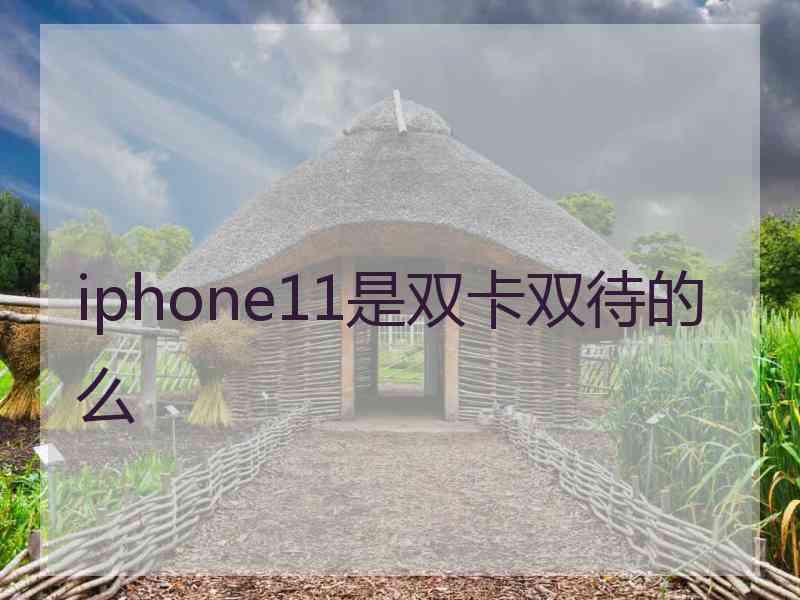 iphone11是双卡双待的么