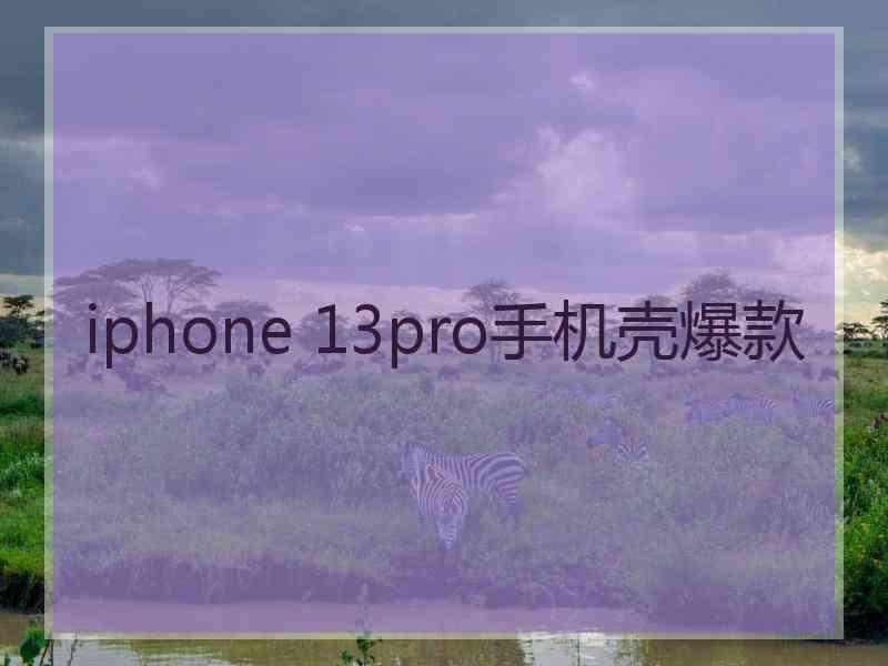 iphone 13pro手机壳爆款