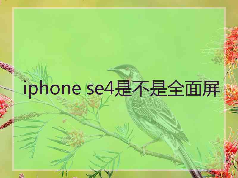 iphone se4是不是全面屏