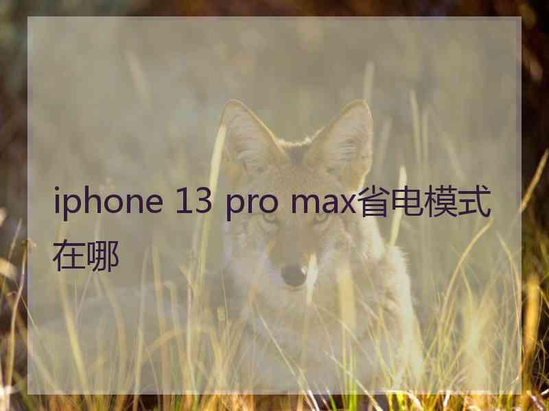 iphone 13 pro max省电模式在哪