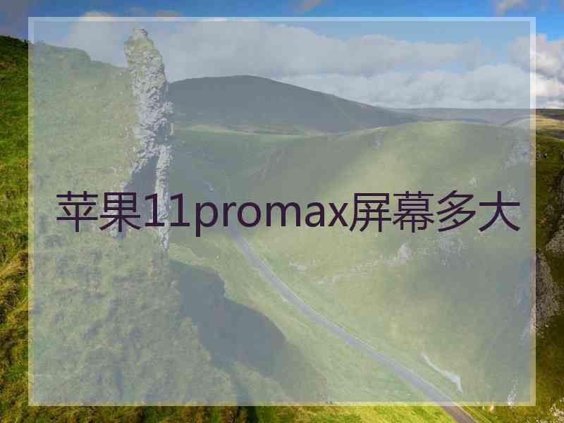 苹果11promax屏幕多大