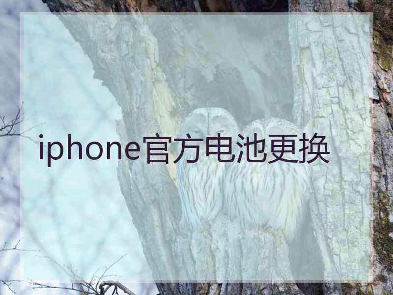 iphone官方电池更换