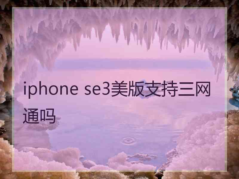 iphone se3美版支持三网通吗