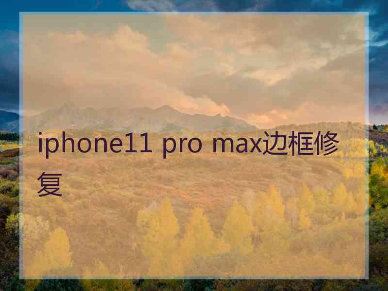 iphone11 pro max边框修复