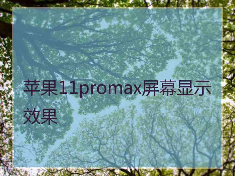 苹果11promax屏幕显示效果