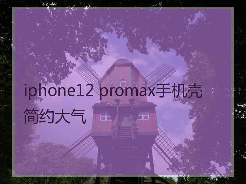 iphone12 promax手机壳简约大气