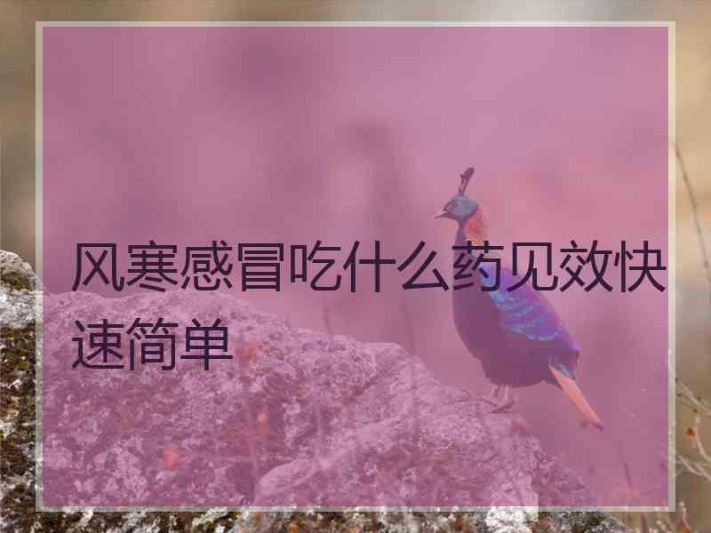 风寒感冒吃什么药见效快速简单