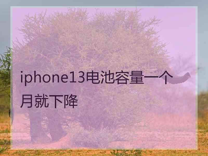 iphone13电池容量一个月就下降