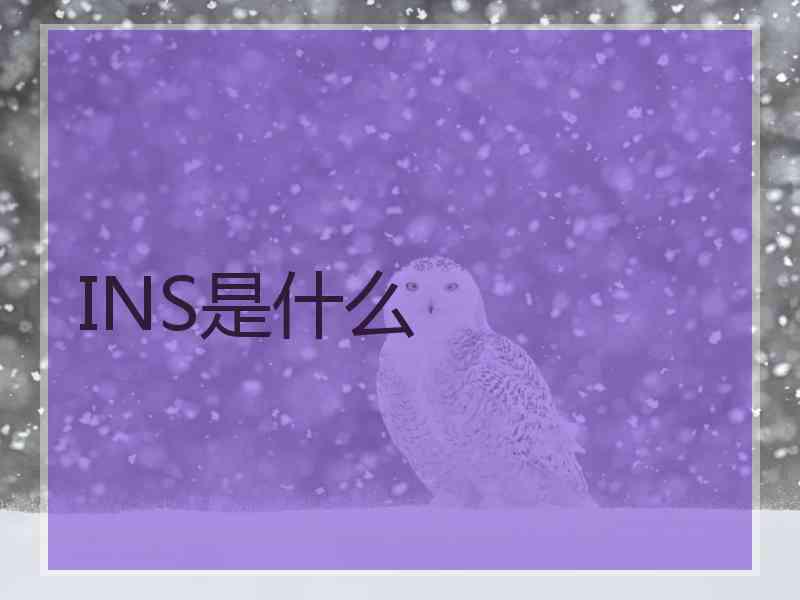 INS是什么