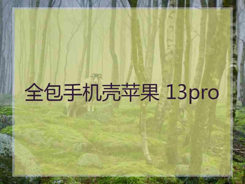 全包手机壳苹果 13pro