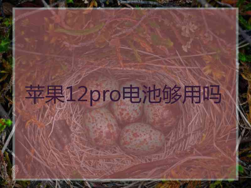 苹果12pro电池够用吗