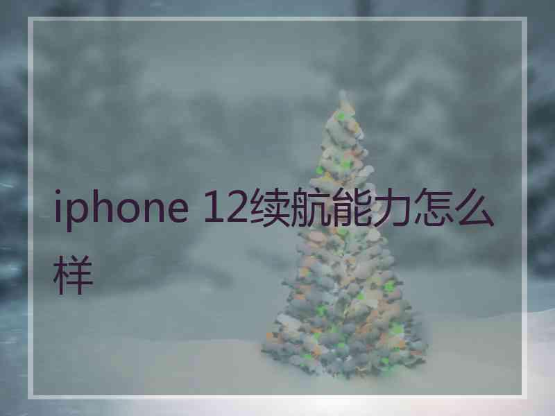 iphone 12续航能力怎么样