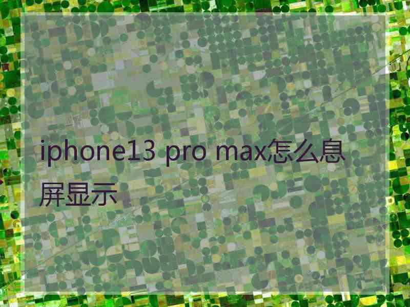 iphone13 pro max怎么息屏显示