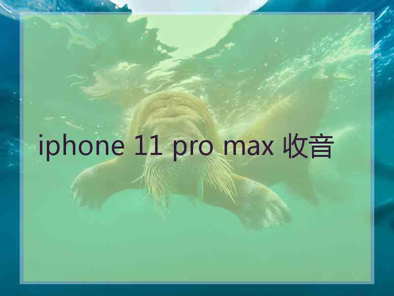 iphone 11 pro max 收音